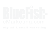 www.bluefish-emarketing.com